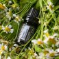   doTERRA Roman Chamomile - Római kamilla esszenciális olaj, illóolaj, 5 ml