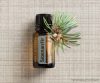 doTERRA Siberian Fir - Szibériai fenyő esszenciális olaj, illóolaj, 15 ml