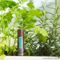 doTERRA Spa Herbal ajakbalzsam, gyógynövényes