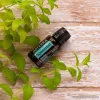 doTERRA Spearmint - Fodormenta esszenciális olaj, illóolaj, 15 ml
