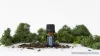 doTERRA Spikenard - Indiai nárdus esszenciális olaj, illóolaj, 5 ml