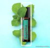 doTERRA SuperMint esszenciális olaj keverék Touch (Roll on) kivitelben, 10 ml