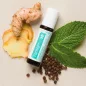   doTERRA Tamer, emésztést támogató esszenciális olaj keverék Touch (Roll on) kivitelben, 10 ml