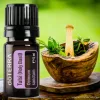 doTERRA Tulsi (Holy Basil) - Szent bazsalikom esszenciális olaj, illóolaj, 5 ml