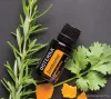 doTERRA Zendocrine esszenciális olaj keverék, újraindító illóolaj, 15 ml