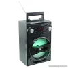 SAL BT 1650 Hordozható multimédia hangszóró, karaoke mikrofon bemenettel, 5 in 1
