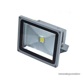 HOME DEL 361 LED reflektor, 20 W