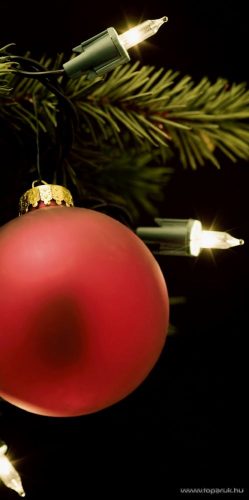 HOME KIF 50 RETRO Hagyományos izzós / izzószálas fényfüzér, 50 db fehér izzóval