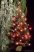 HOME KIX 60/RD Kültéri fenyőfa (műfenyő), piros LED világítással, 60 cm - készlethiány