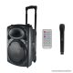 SAL PAB 25A Hordozható aktív hangdoboz, beépített akkumulátorral, mikrofonnal (karaoke szett)