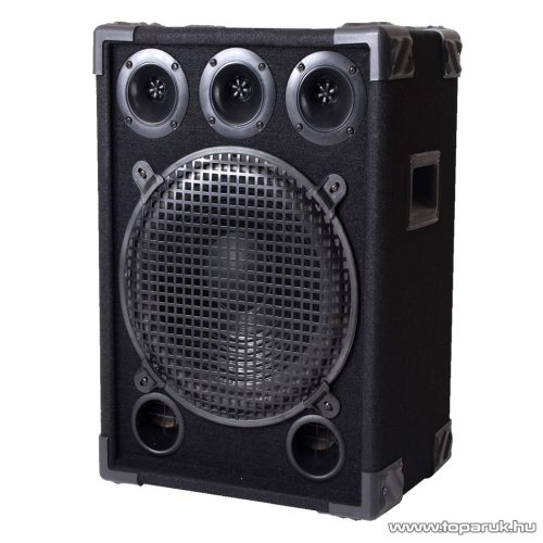 SAL PA 12 PASSZÍV Zenekari hangdoboz, 2 utas, 300 W