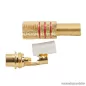   RCA aljzat, aranyozott, max. 6 mm-es kábelhez, piros, 10 db / csomag (05086PI)