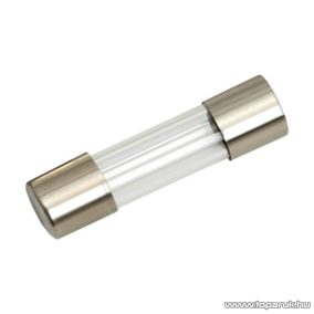   Gyors biztosíték, 5 x 20 mm, 125 mA, 10 db / csomag (05276)