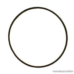   Elpumps tartozék O tömítő gyűrű 165 x 3,5, JPV900, 1300 és 1500 szivattyúkhoz